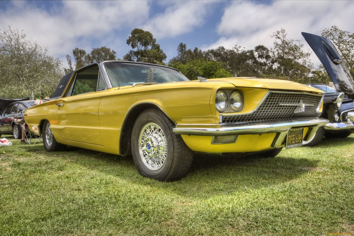 ford thunderbird фото