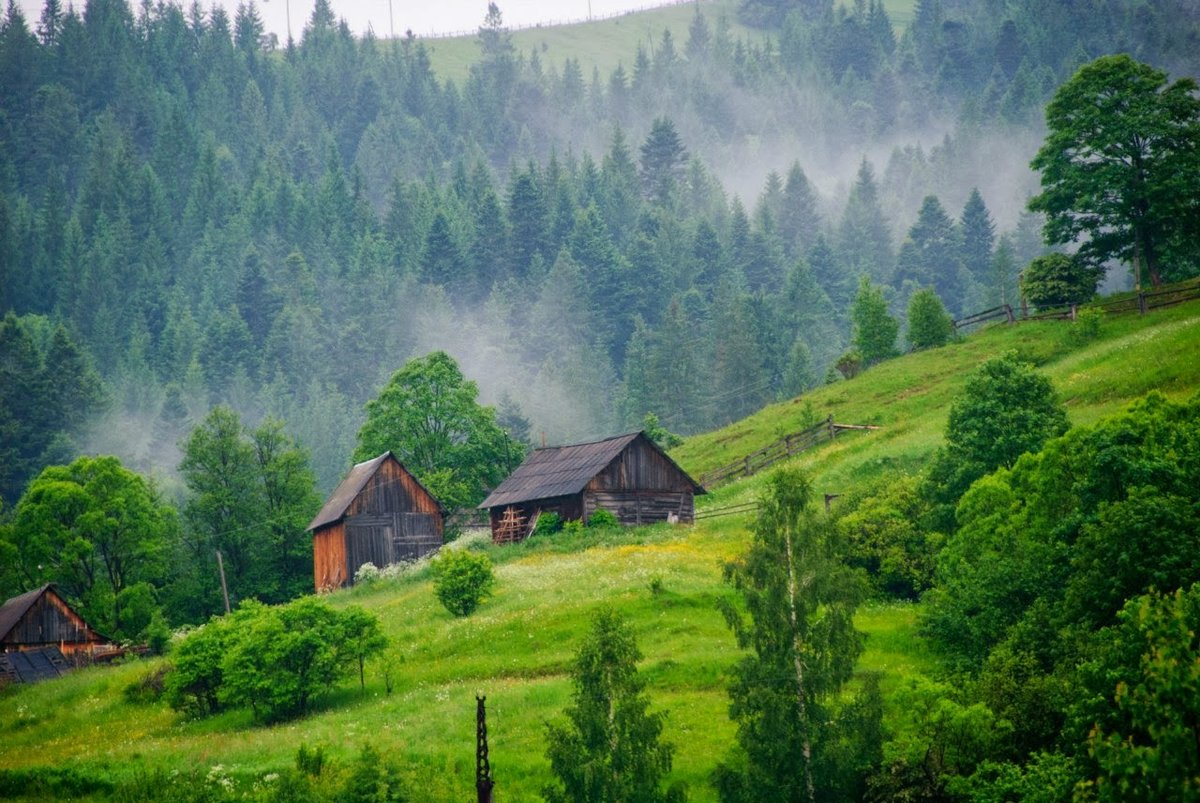 карпатские горы закарпатье фото