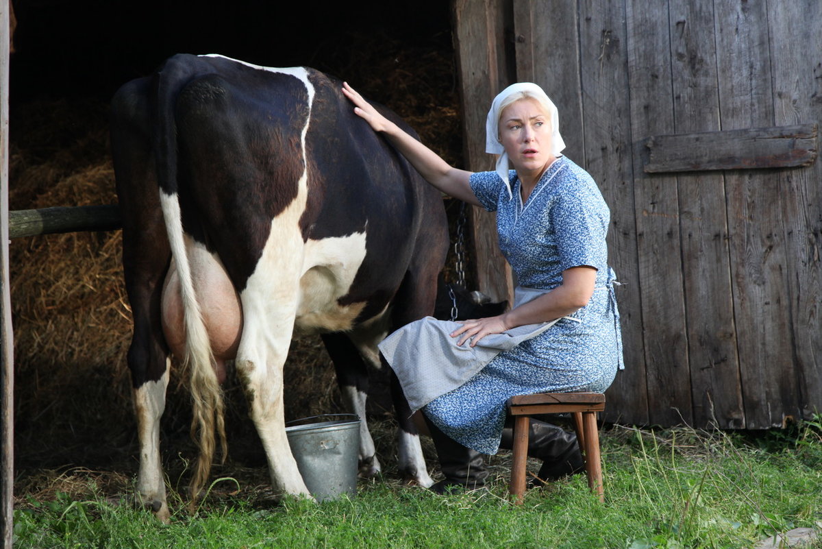 �������� ���� ������ �� �����