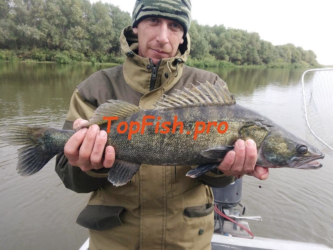 рыбалка на оке рязань фото