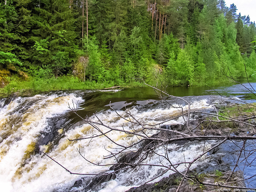 пейзаж карелии водопад кивач фото