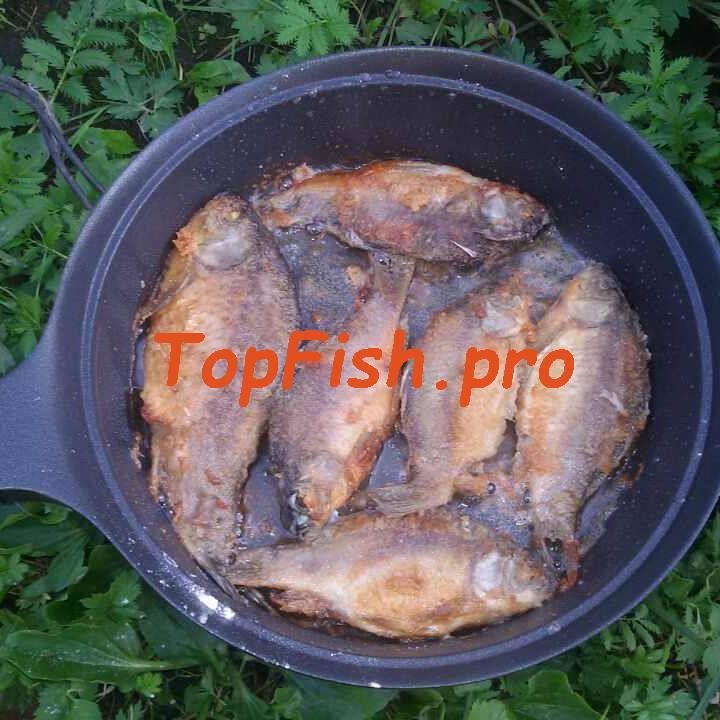 карась жареный фото