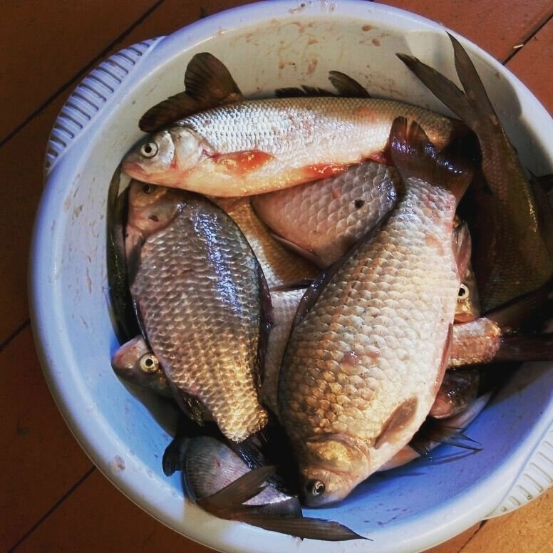 Скачать драйвер для джойстика logitech chillstream