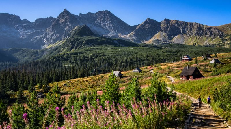 горный пейзаж фото