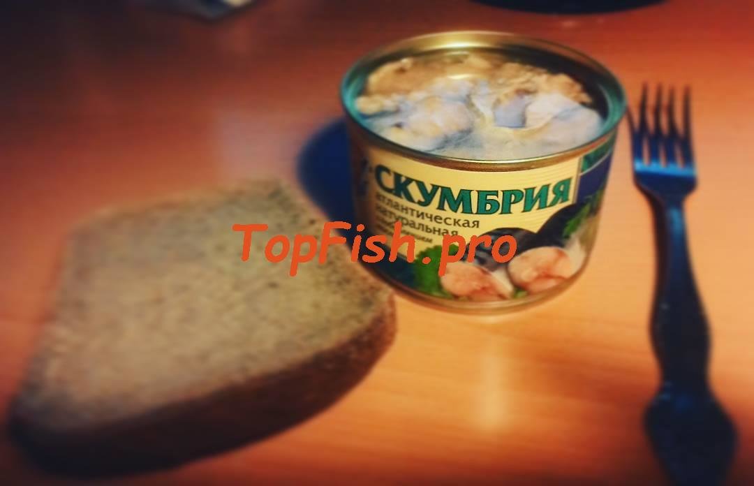 консервы рыбные фото