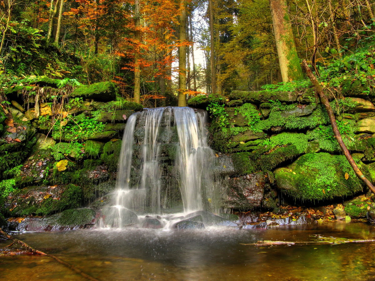 �������� � ������� �������