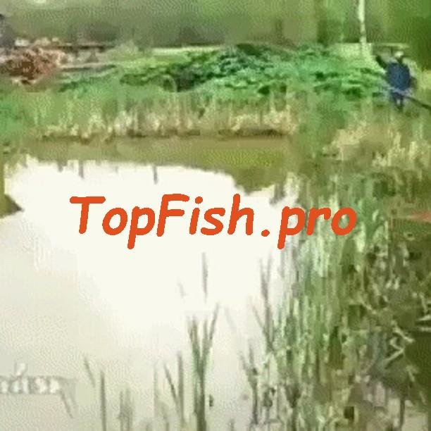 рыбалка фото
