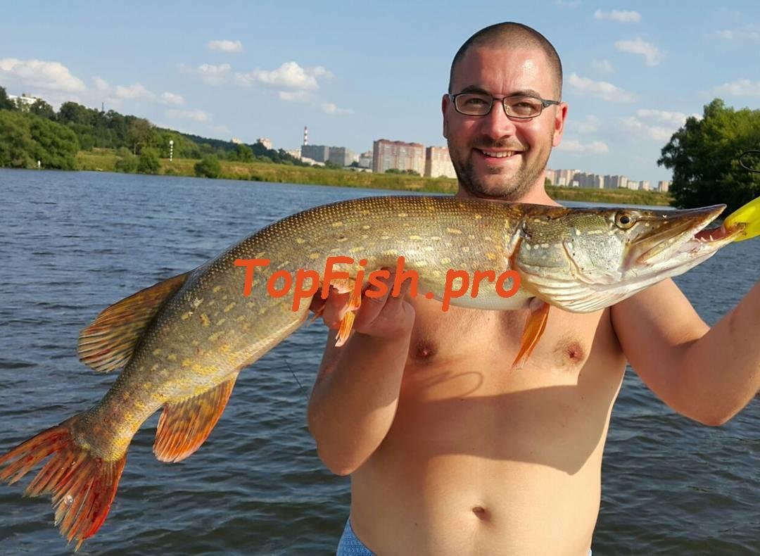 ловля щуки фото