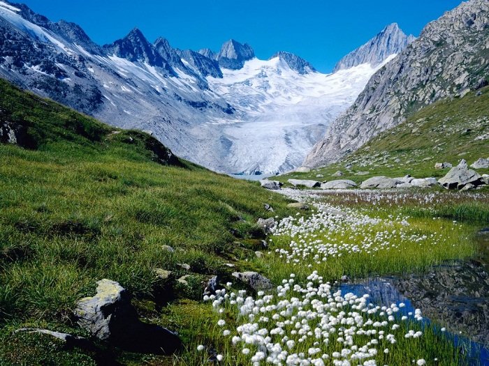 альпийские луга швейцария фото