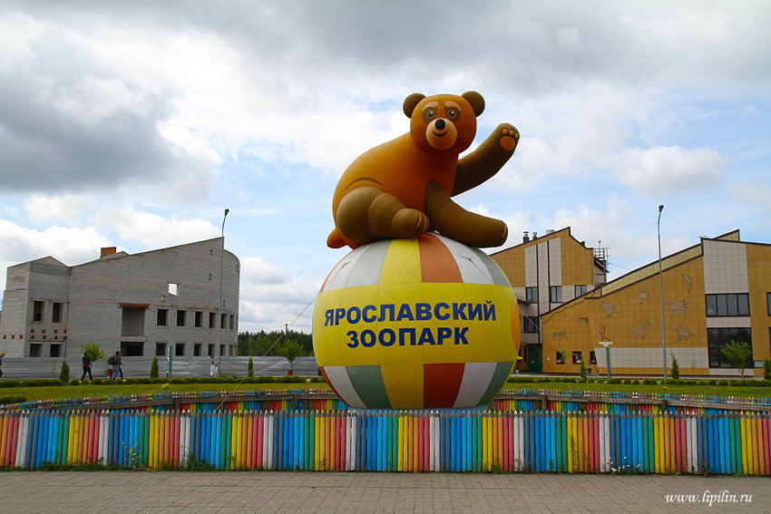 ярославский зоопарк фото