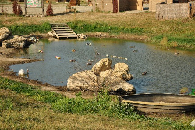 водоем фото