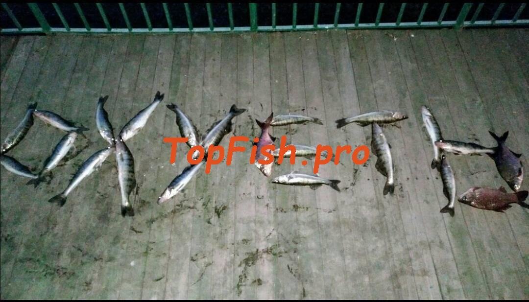 с рыбалки фото