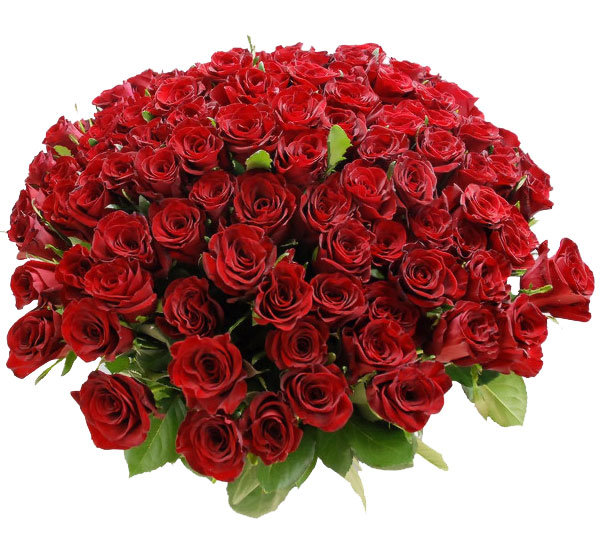 �������� �������� ������� ����� ���