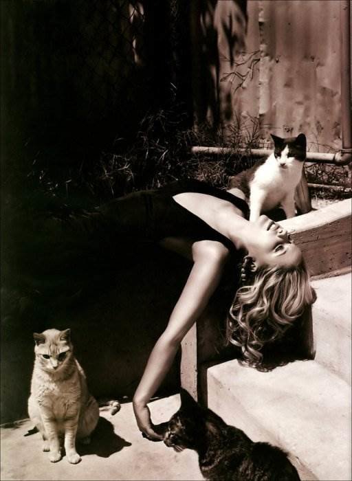 sarah michel gellar фото
