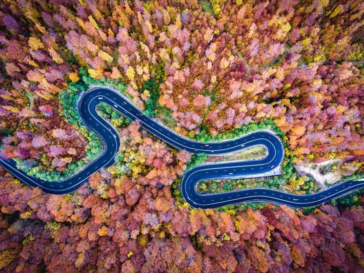 извилистая дорога фото