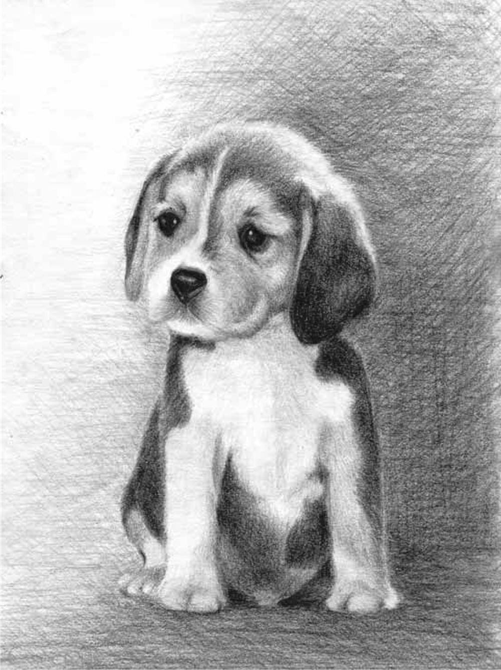 ������� ������� ���������� �������� ������