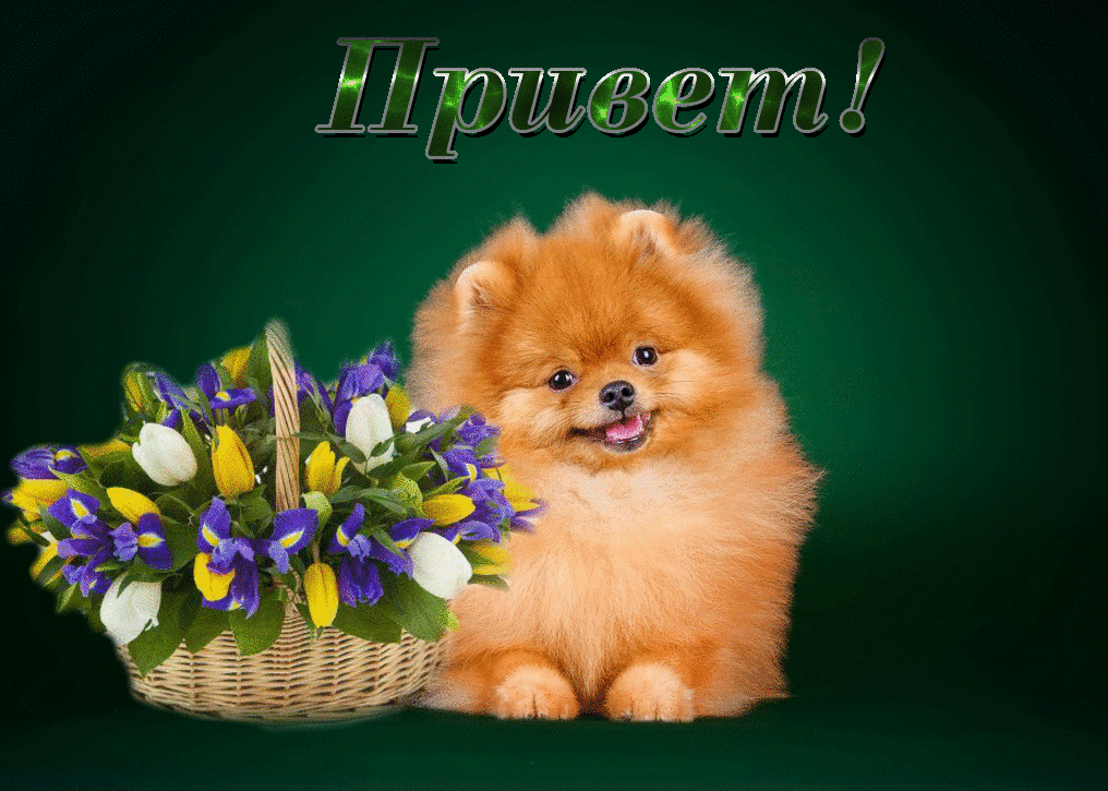 �������� � ������������ ������