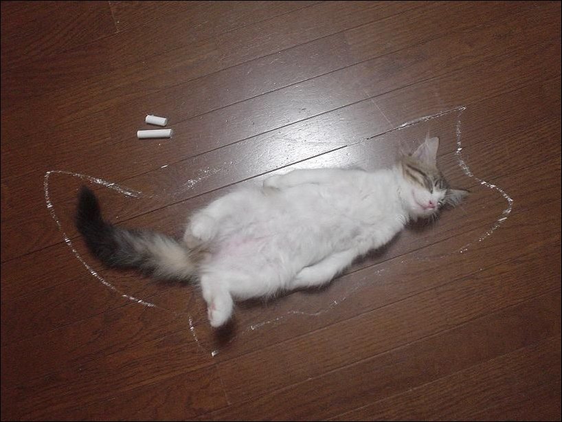 ����, �������� ������� ����