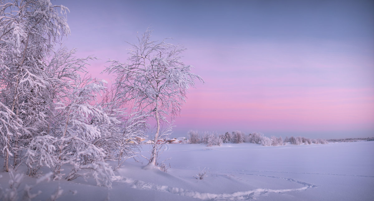 Морозное утро 2
#зима #мороз #панорама #пейзаж #рассвет #снег #утро #янао