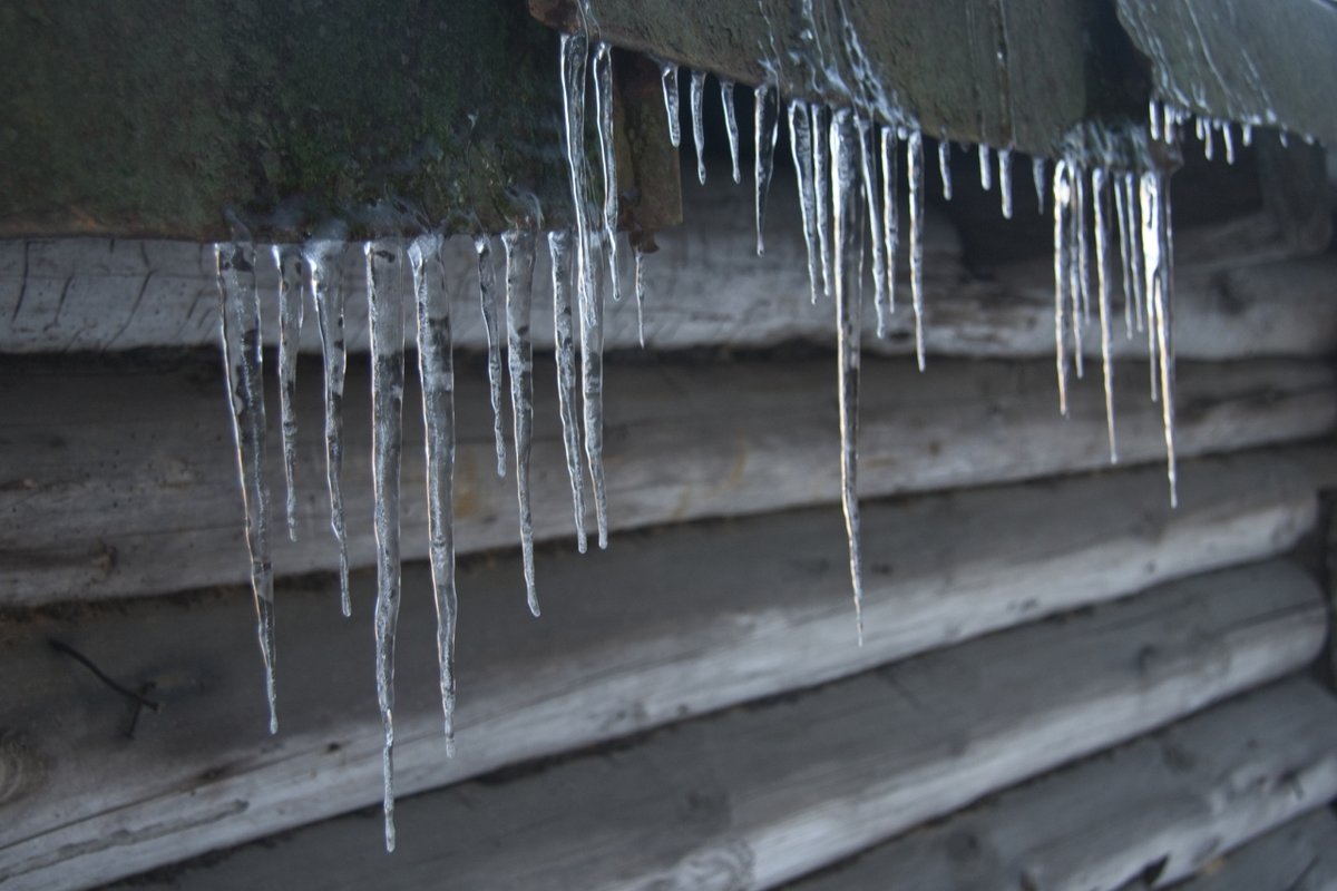 �������� ���� ����� ������ - 12