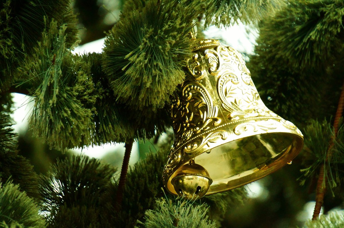 golden bell фото