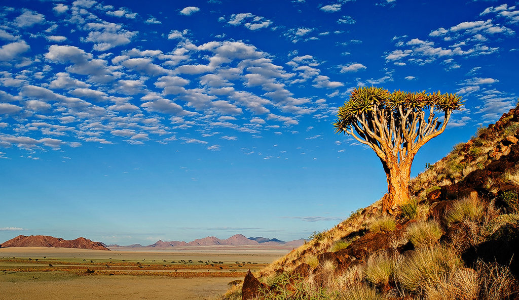 Удивительная природа Намибии