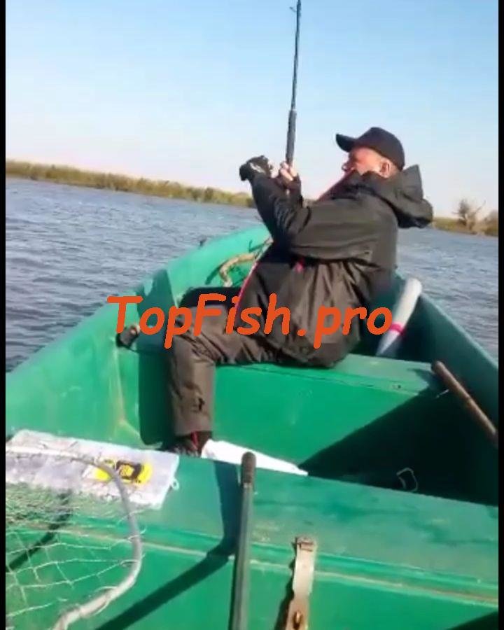 фидер рыбалка фото