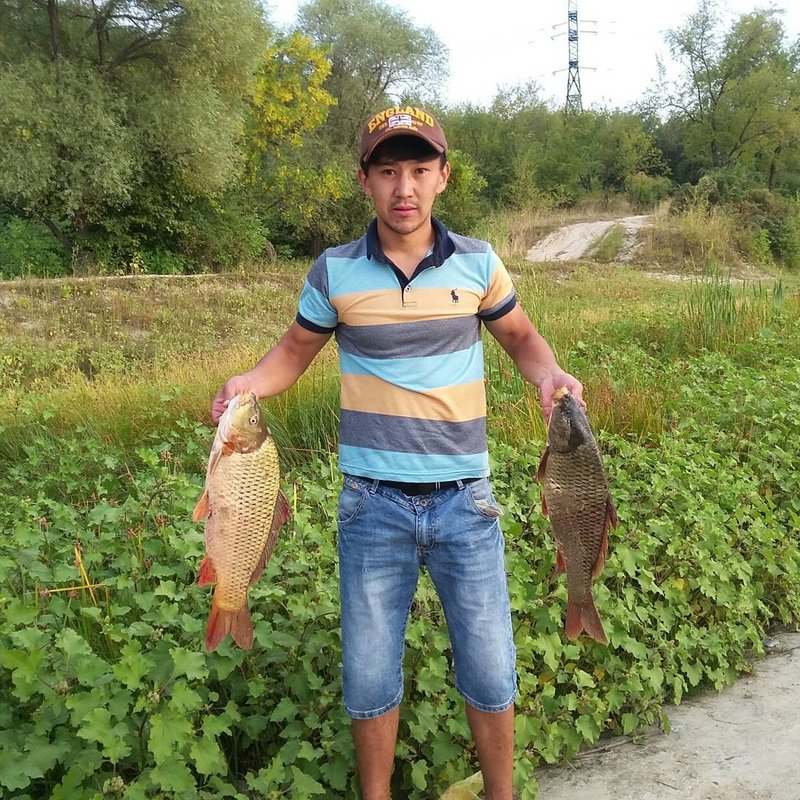   fish xxl  