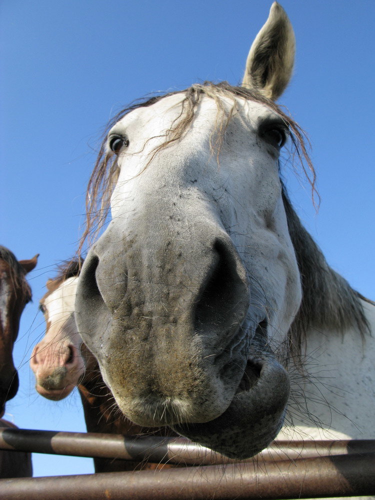 ���������� ������, ������ ���� �������� �������