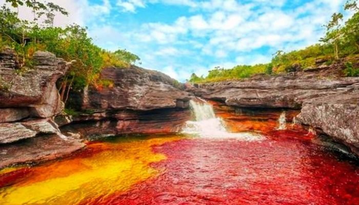 каньо кристалес колумбия фото