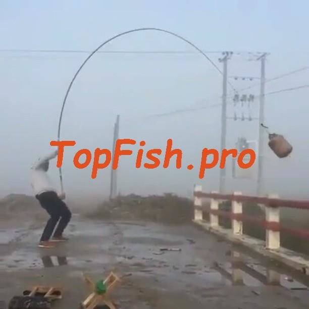 удочка фото