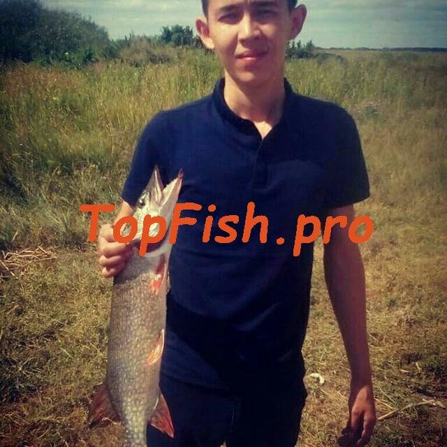 ловля щуки фото