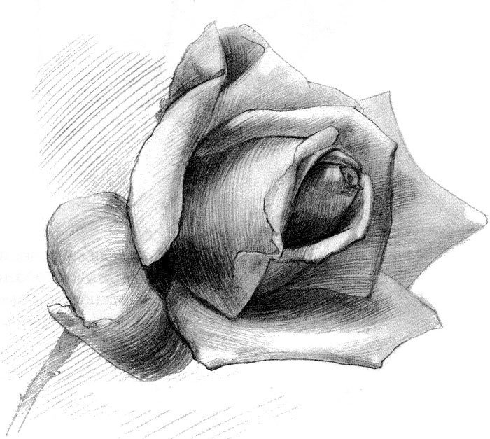 �������� �������� ���� ����������, ������ ���������� ��������