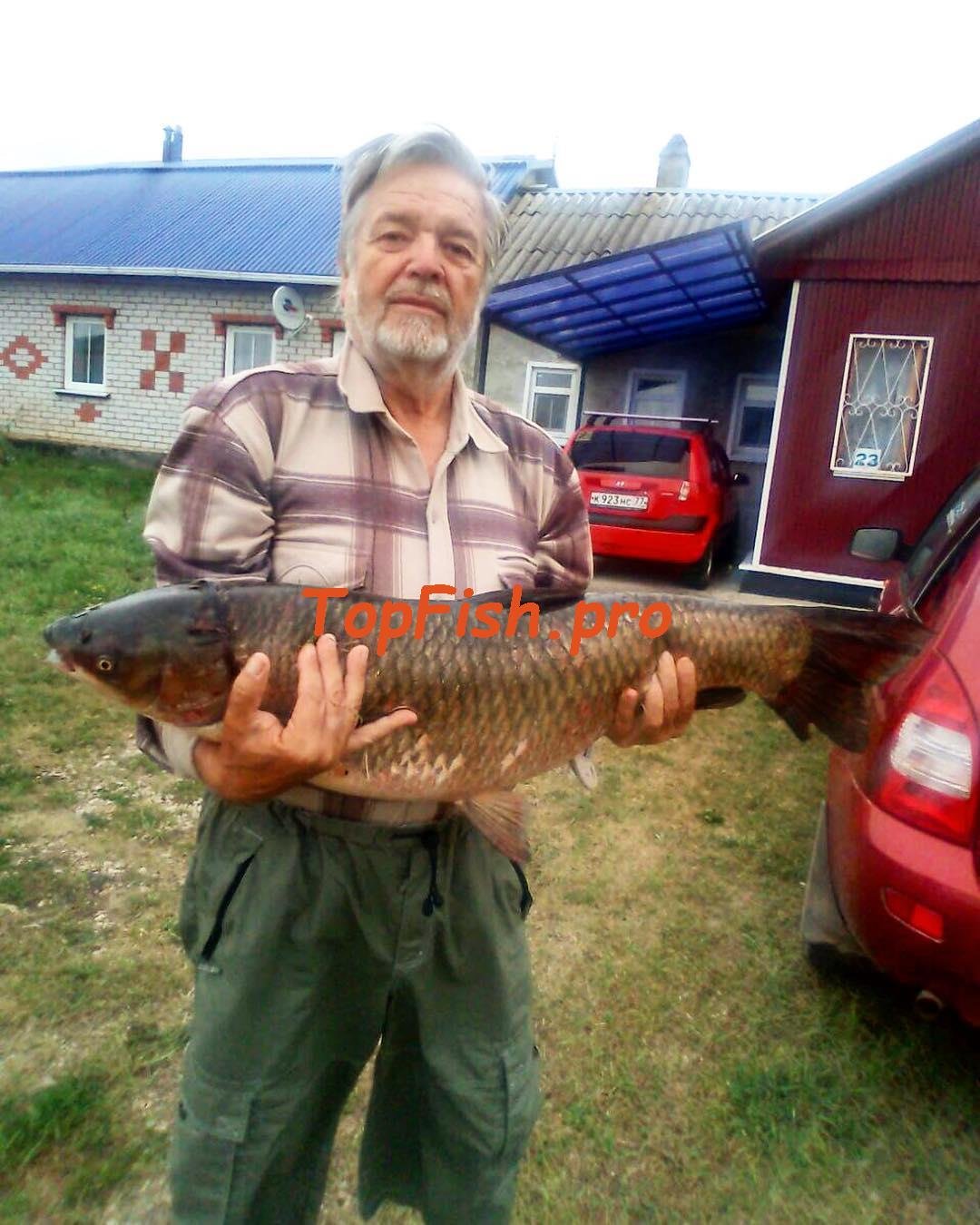 рыбалка на щуку фото