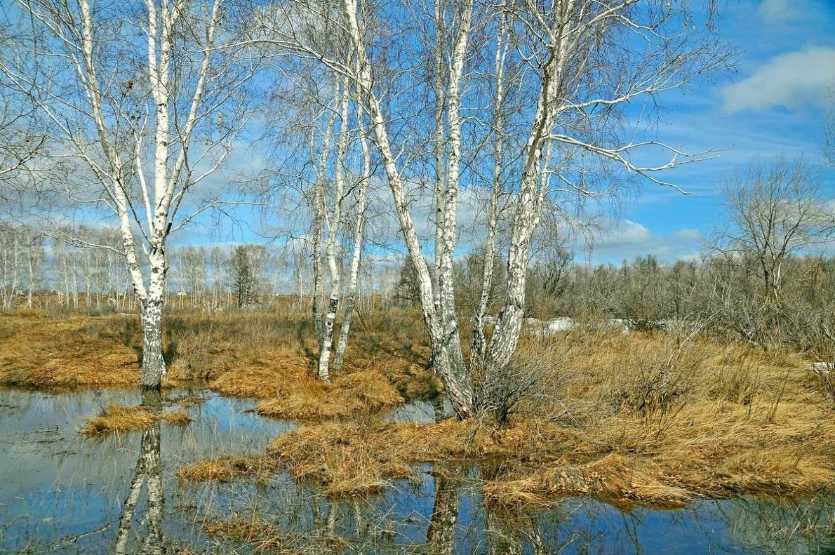 �����-����� ���� �������� ����� ������ ������� ���� �������� ���������