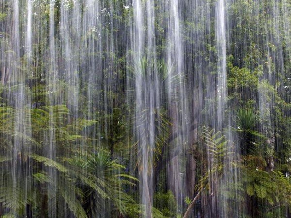 meditation rain sounds rainforest фото
