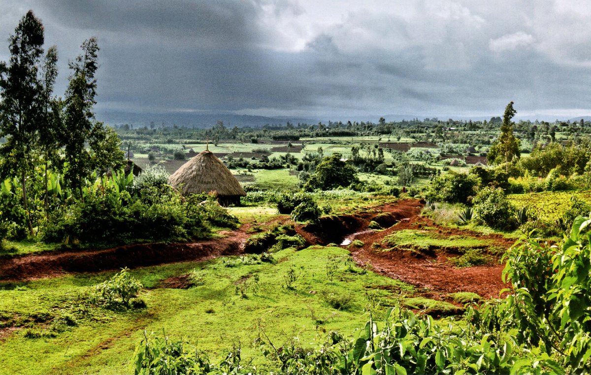 Эфиопия - чрезвычайно интересная и специфическая страна. 