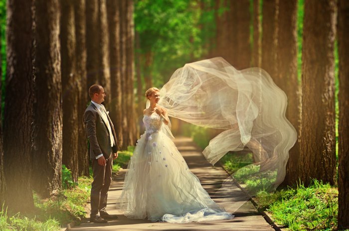 фотосессия для жениха и невесты в сосновом бору фото