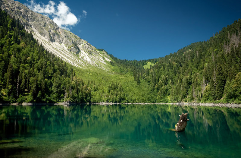 озеро малая рица абхазия фото