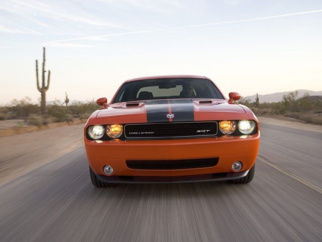 dodge challenger srt8 2008 фото