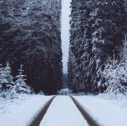 дорога зима лес инстаграм фото