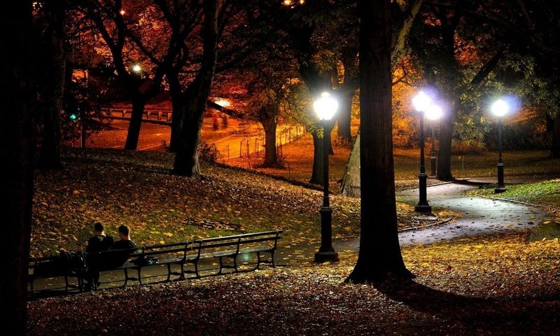 осенний парк вечером фото