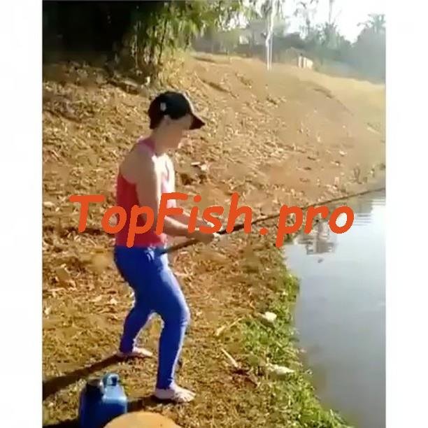 лучшие приколы фото