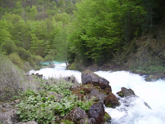 каньон на реке тара в жабляке, фото