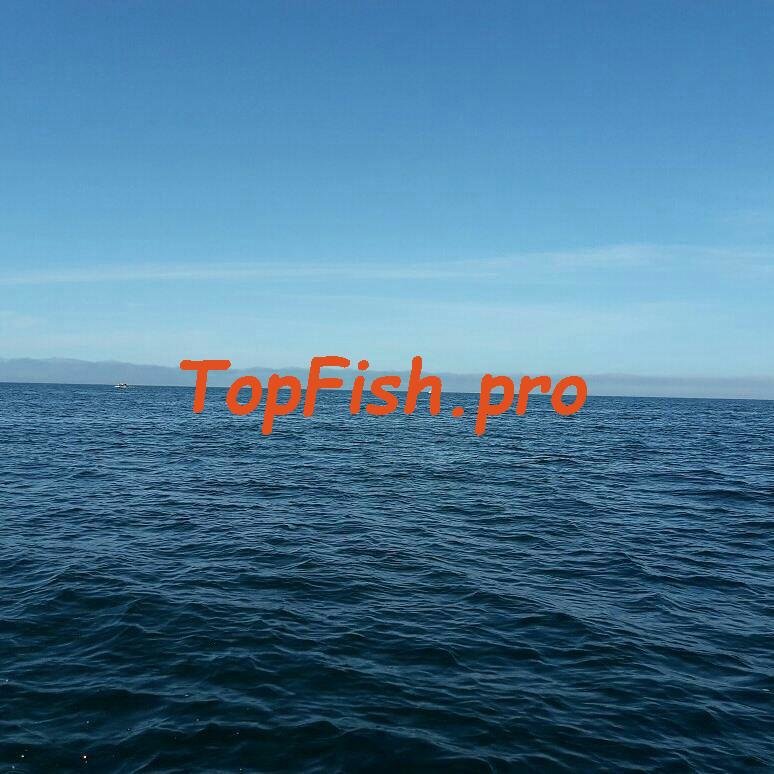 море фото