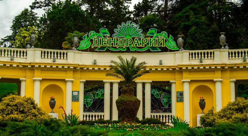 сочи парк дендрарий фото