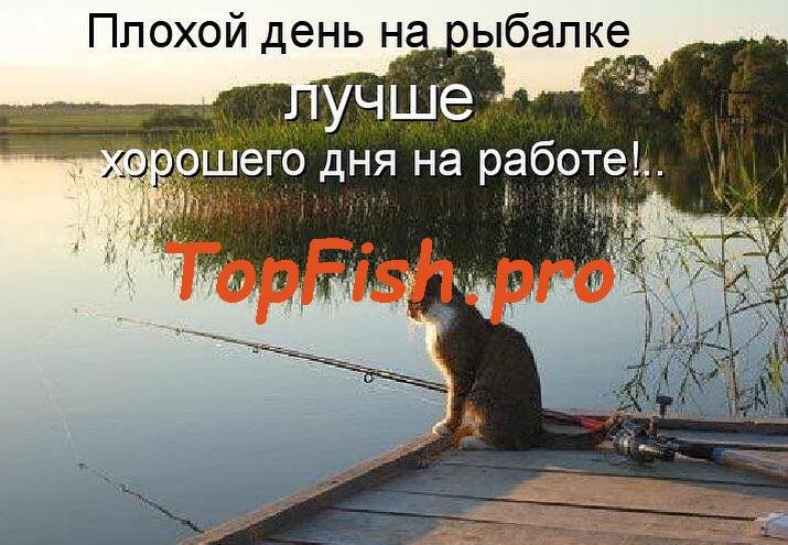 на рыбалке фото