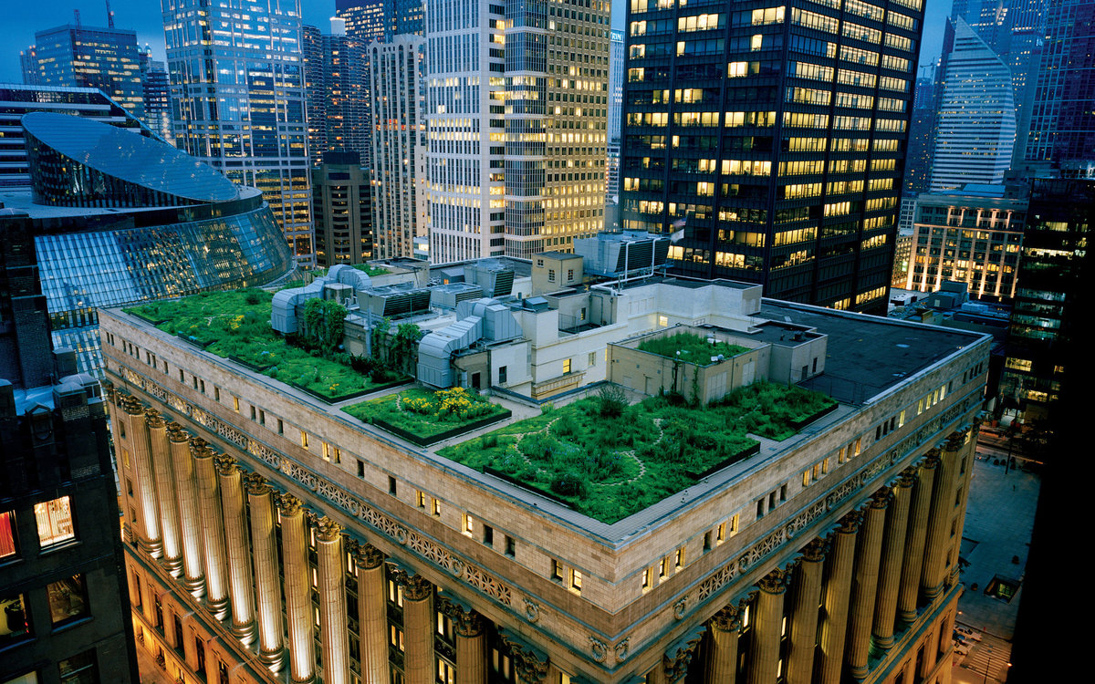 city hall rooftop garden: зеленая крыша в чикаго фото