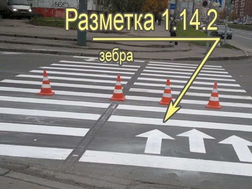 разметка дорожная фото