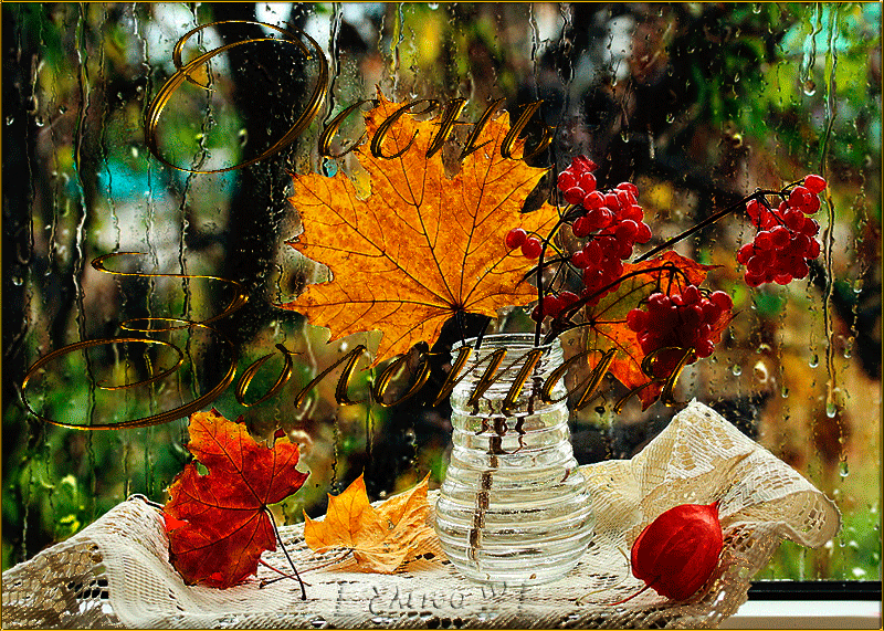 Осенняя Суббота Фото